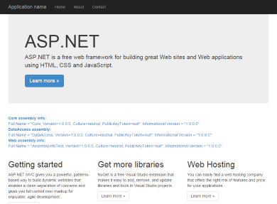 Version information in web app before TC build... Click to enlarge...